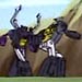 Insecticons